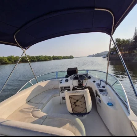 BAYLINER-DISCOVERY-288-Yatch-.webp