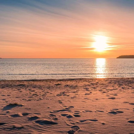 beach.webp