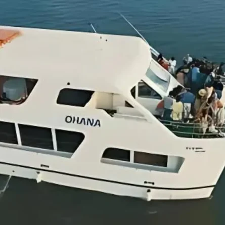 ohana-dinner-cruise-2.webp
