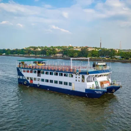 sunset-dinner-cruise.webp